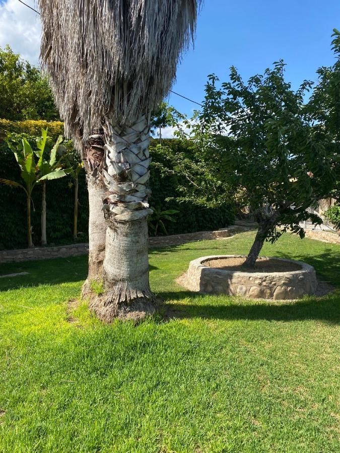Masia Pau Prat Llica d'Amunt المظهر الخارجي الصورة
